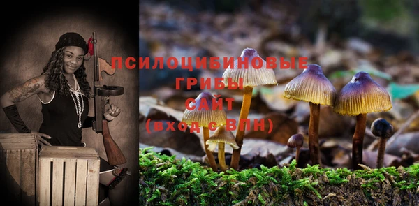стаф Алексин