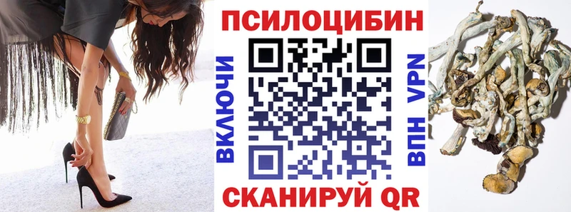 Галлюциногенные грибы прущие грибы как найти закладки Шелехов